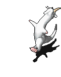644_9.gif
