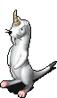 644_14.gif