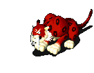 304_8.gif