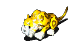 305_8.gif