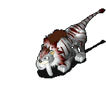 365_9.gif