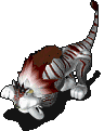 365_11.gif