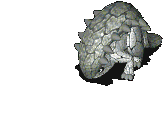 356_9.gif